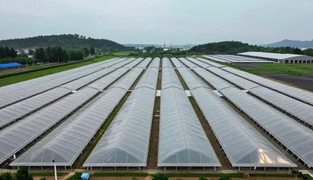 平面设计误区:5个检查要点避免设计失误